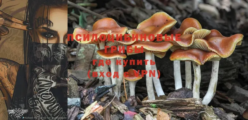 Галлюциногенные грибы MAGIC MUSHROOMS  Апатиты 