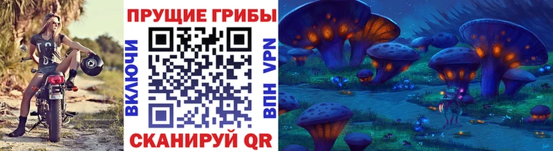 Галлюциногенные грибы GOLDEN TEACHER  Апатиты 