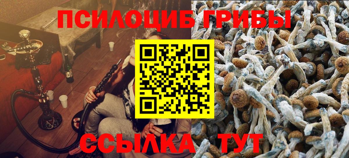 А ПВП Апатиты