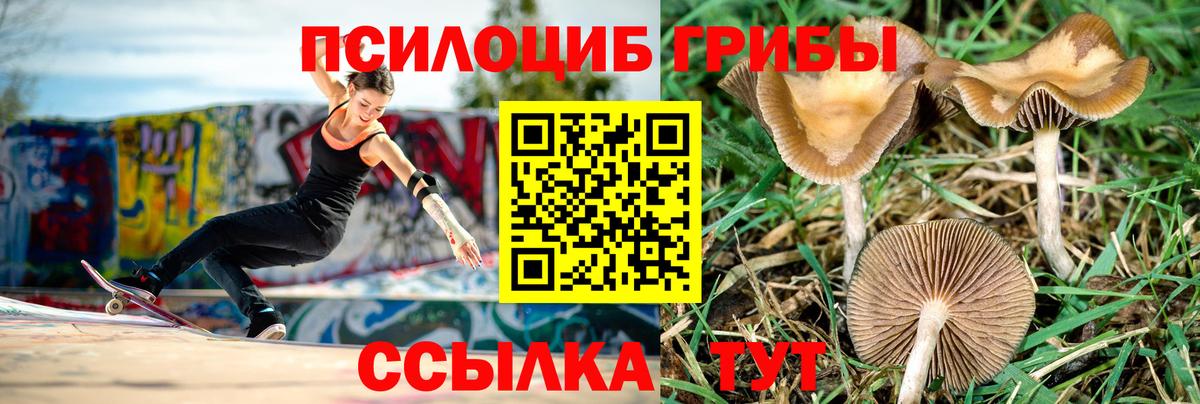 Галлюциногенные грибы мухоморы  Апатиты  Галлюциногенные грибы ЛСД 