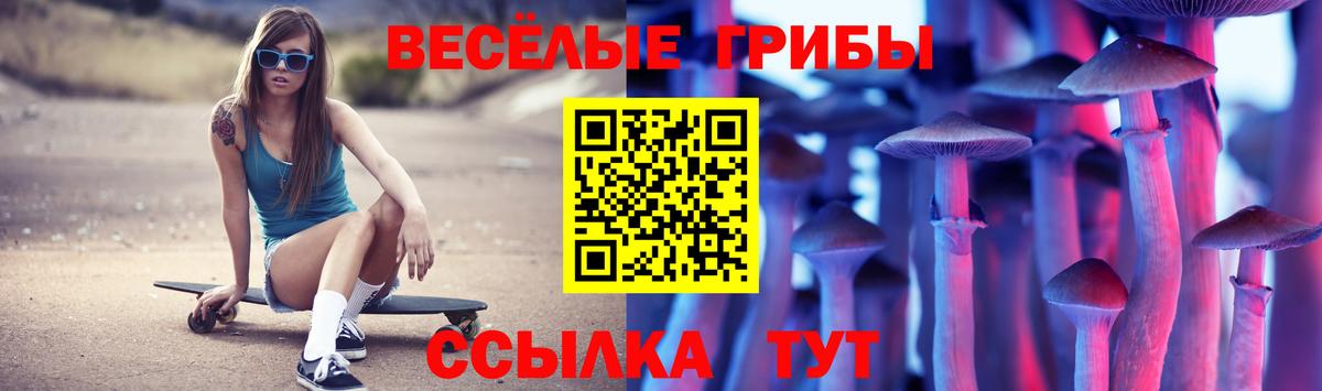 Галлюциногенные грибы Psilocybine cubensis  Вход с VPN  Апатиты 